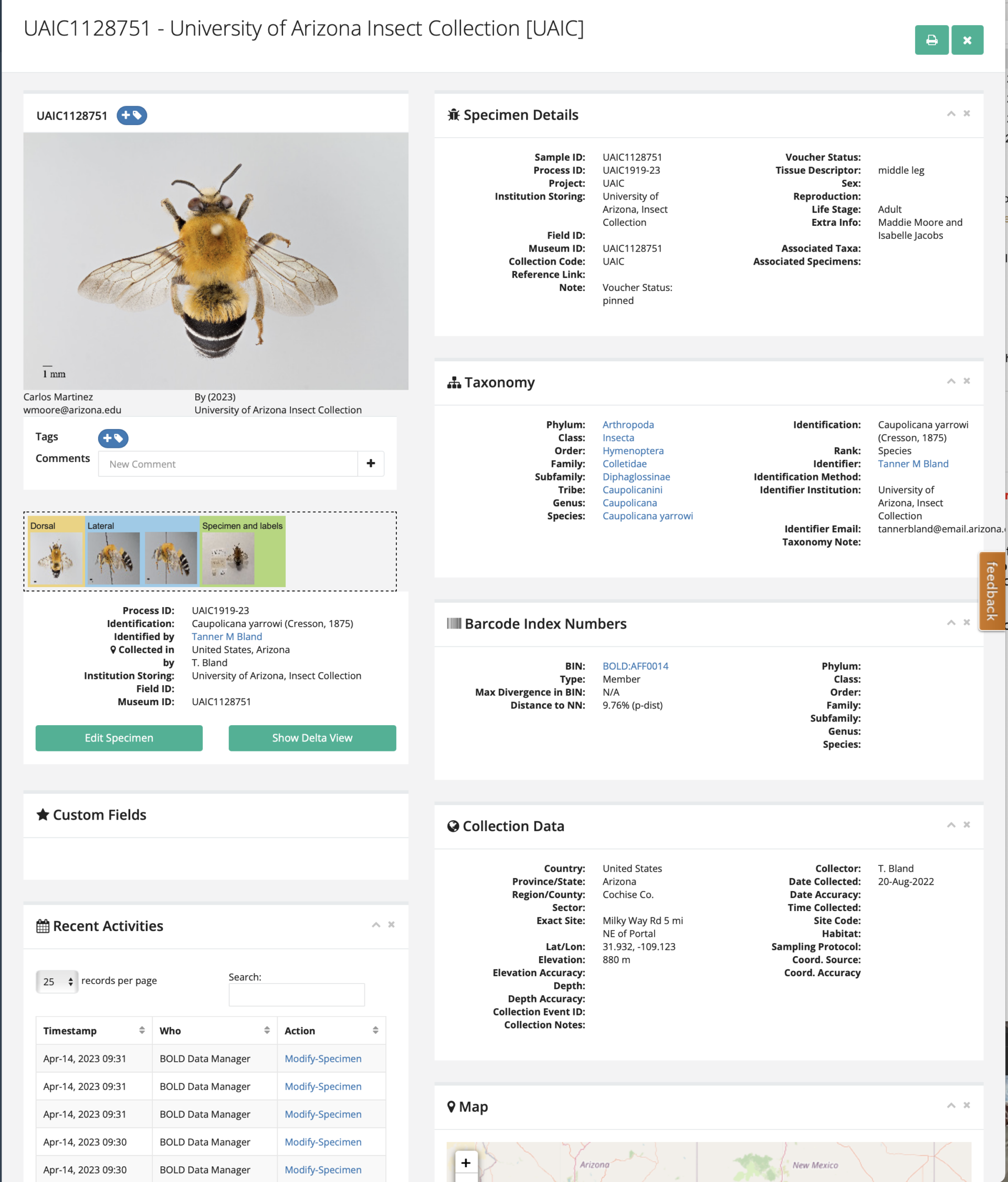 Uaicnotes The UAIC specimen repository – Tucson Bee Collaborative